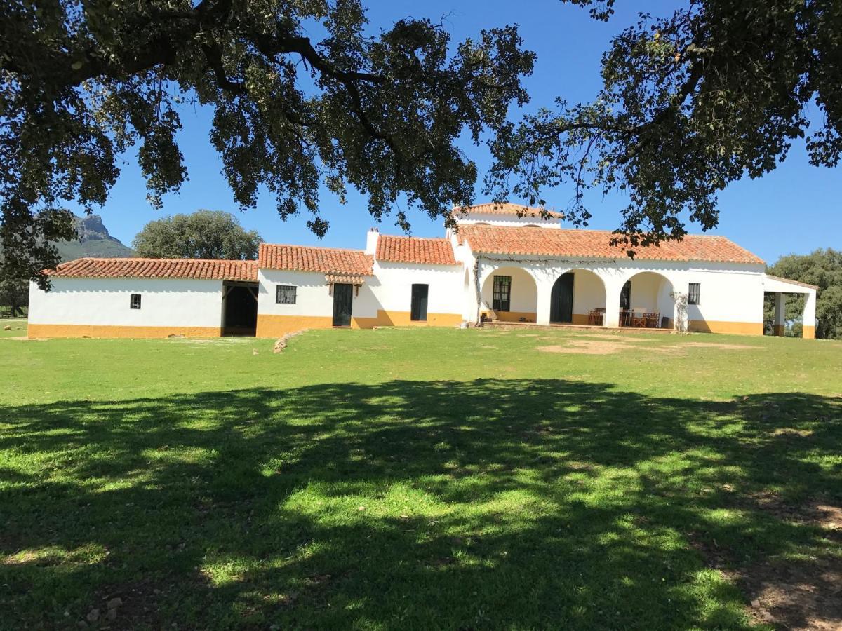Casa Rural De La Finca Sierra Grande Hornachos Екстериор снимка