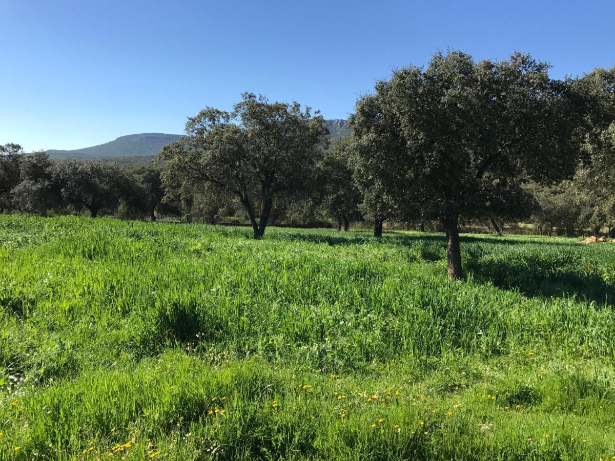 Casa Rural De La Finca Sierra Grande Hornachos Екстериор снимка